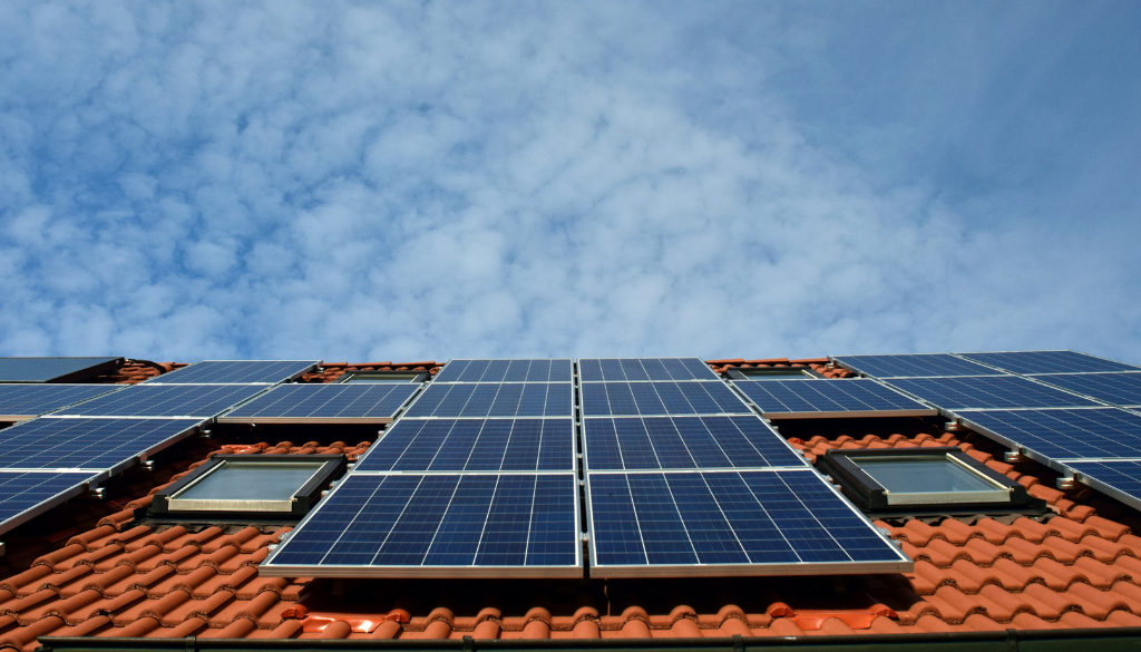 LG Solar vs Risen Energy: Qual Painel Solar Escolher em 2025?